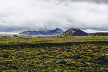 Endless landscapes of Iceland. Pale green grass and misty mountains under gray rainy clouds.