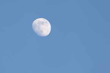 Bright moon in broad daylight on a blue sky