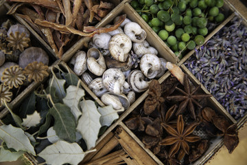 Herbs and medicinal plants