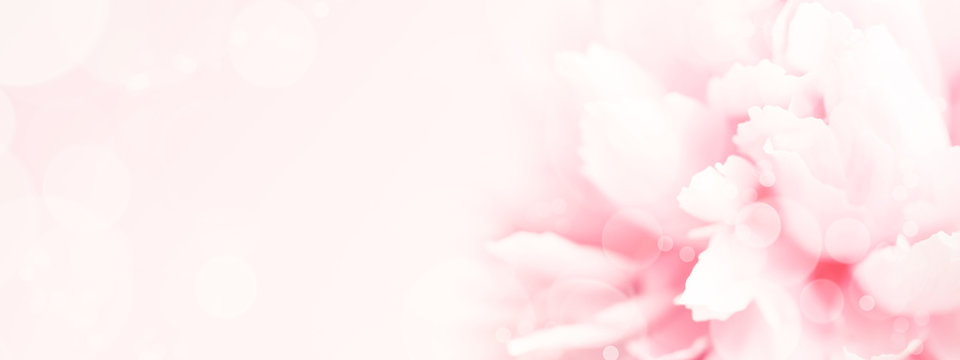 Closeup view of pink peony flower. Soft pastel wedding background. Banner for website.