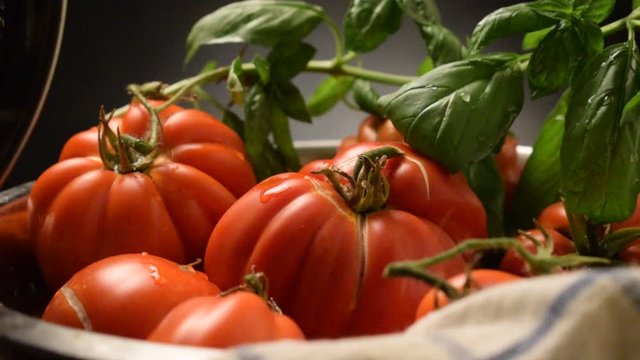 Pummarola ft9107_0824