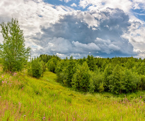 Summer landscape cloudy sky and blooming Ivan-tea in the Leningrad region.