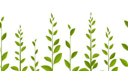Green leaves on white background, vector leaves. Natural - obrazy, fototapety, plakaty
