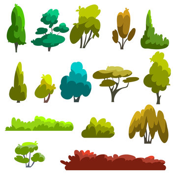 A set of different species of trees and shrubs in a flat style. Vector illustration deciduous and coniferous trees