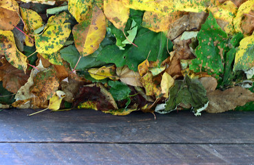 barn board table and leaf back ground
