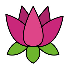 indian lotus flower nature icon