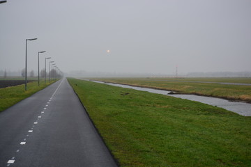 Empty road no car on it and tree with mist overall  in the morning