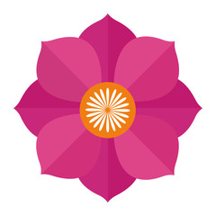 indian lotus flower nature icon