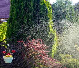 garden water background splatter