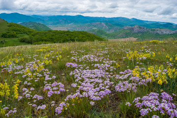Fototapeta premium Mountain spring landscape