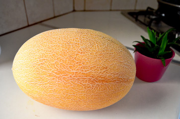 ripe melon on wooden table