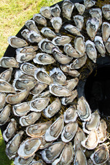 Fresh oysters in round plate of ice seafood in Top view in Arcachon bassin France