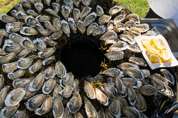 Fresh opened oyster offered as top view  in party in Bordeaux near Bassin d' Arcachon