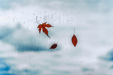 Rain drops on wet window and fallen leaves behind. Concept of rainy weather, fall seasons. Abstract...