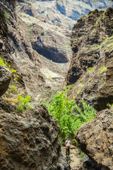 Obraz premium Young traveler stays on the top of huge boulder in the Masca gorge, Tenerife, showing solidified volcanic lava flow layers and arch formation. Ravine leads down to the ocean from a 900m altitude