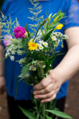  bouquet wildflowers hands elderly woman blooming  lady nature