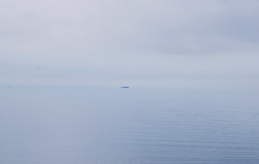 Rocky coast of the Pacific ocean with green vegetation in the fog