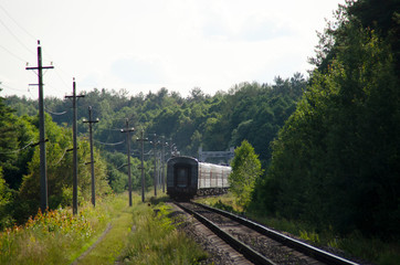 The train goes into the distance on the background of power lines and green trees. Railway tracks in the forest.