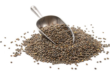 Grüne Linsen aus Le Puy