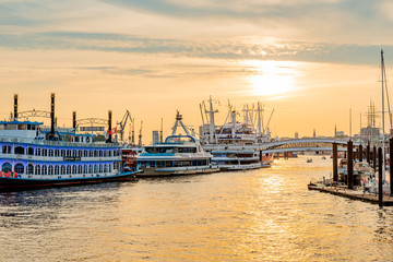 Fototapeta premium Cruise ships standing at the marina in Hamburg, on the river Elbe. Sunset over the river Elbe.