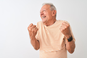 Senior grey-haired man wearing striped t-shirt standing over isolated white background very happy and excited doing winner gesture with arms raised, smiling and screaming for success. 
