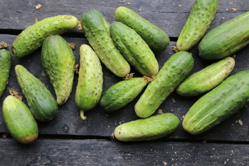 Fresh ripe cucumbers lie on the table, rural market