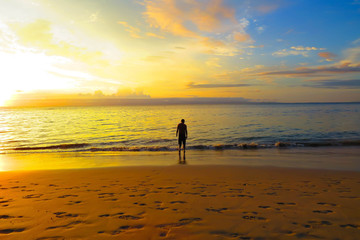 Naklejka premium Golden Solitude