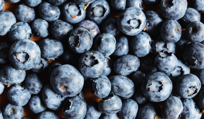 small ripe and juicy blueberries