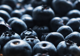 background of blueberries