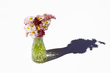 Bunch of daisies in glass vase on white background Decoration with wild flowers Meadow flowers.