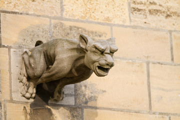 Gargoyle on Cathedral in Bayeux, Normandy, France