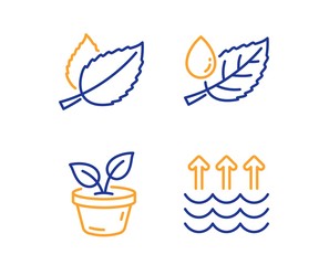 Fototapeta na wymiar Mint leaves, Leaves and Leaf dew icons simple set. Evaporation sign. Mentha herbal, Grow plant, Water drop. Global warming. Nature set. Linear mint leaves icon. Colorful design set. Vector