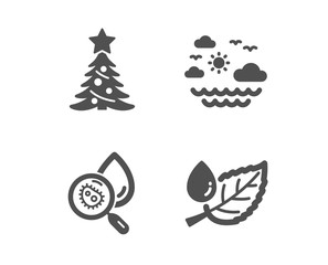 Set of Christmas tree, Travel sea and Water analysis icons. Leaf dew sign. Spruce, Summer holidays, Aqua bacteria. Water drop.  Classic design christmas tree icon. Flat design. Vector