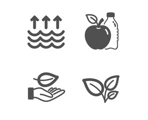 Set of Leaf, Apple and Evaporation icons. Leaves sign. Plant care, Diet food, Global warming. Grow plant.  Classic design leaf icon. Flat design. Vector