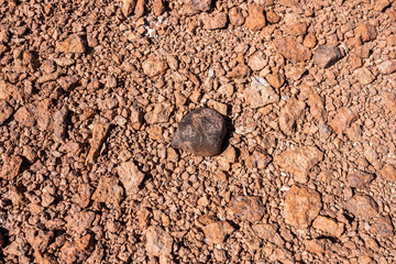 Chondrite Meteorite L Type, a piece of rock formed in outer space in the early stages of Solar System as asteroids. This meteorite comes from a meteorite fall impacting the Earth at Atacama Desert
