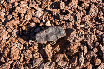 Chondrite Meteorite L Type, a piece of rock formed in outer space in the early stages of Solar...