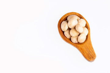 Dried seeds of sacha fruit - Inchi peanuts - Plukenetia volubilis. White background