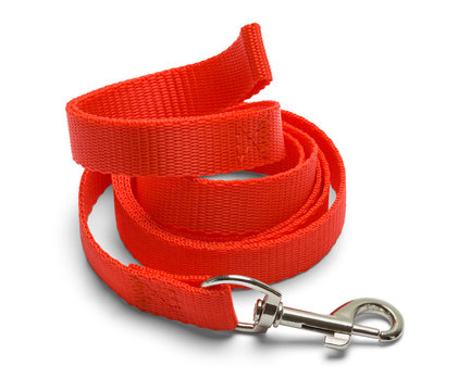 Curled Red Dog Leash