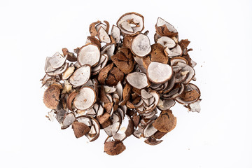 Plukenetia volubilis - Pieces of sacha inchi bark.