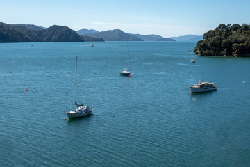 Yachts and sail boats moored in the bays in the Marlborough Sounds New Zealand