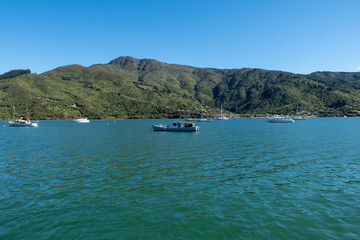 Fototapeta na wymiar Yachts and sail boats moored in the bays in the Marlborough Sounds New Zealand