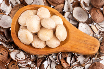 Fototapeta premium Dried seeds of sacha fruit - Inchi peanuts - Plukenetia volubilis. White background