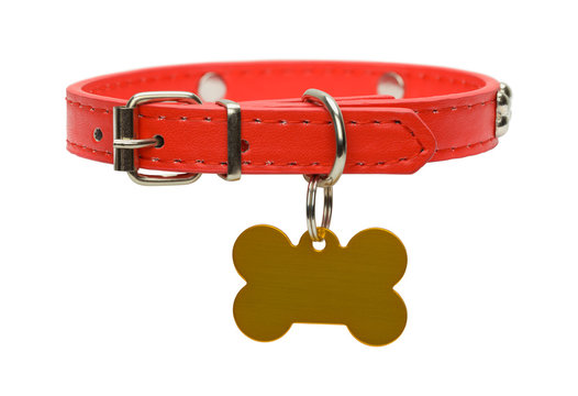 Red Dog Collar and Tag Cut Out