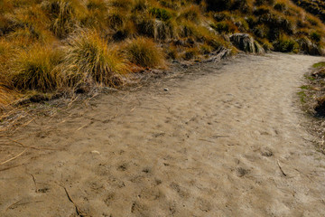 Stunning views from the top of Roy's Peak in Wanaka New Zealand
