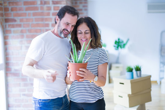 Middle age senior romantic couple holding aloe vera plant smiling happy for moving to a new house