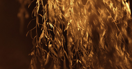 夜の和風イメージ