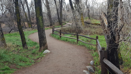 A peaceful walk along a dirt path on the South Boulder Creek Trail in Colorado. Quiet, rainy autumn afternoon. Earth tones, trees, green. © TammyVet