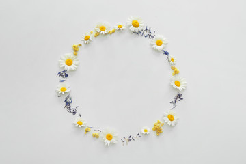 Circle made of flowers on white background