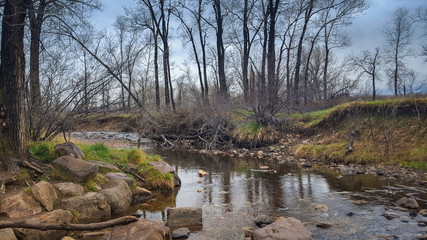 A quiet walk on the South Boulder Creek Trail in Colorado. Peaceful, rainy, quiet day. Earth tones,...