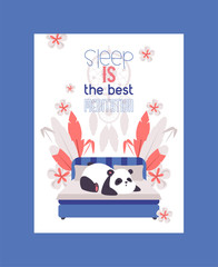 Panda bear sleeping on bed in room poster vector illustration. Sleep is best meditation. Adorable animal resting. Wild cute baby mammal cartoon character dreaming. Dream catcher.